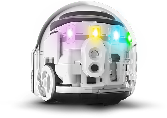 Ozobot Evo: test of mini educational robot with color detections